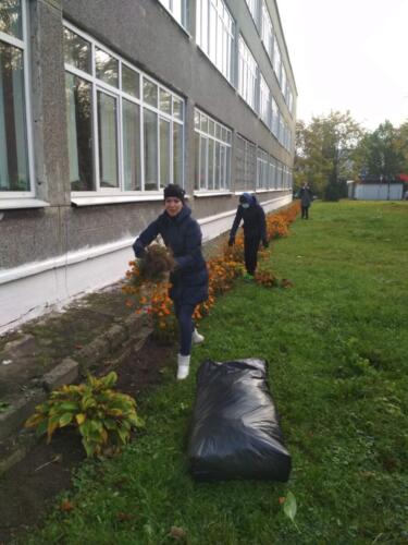 IMG-6239cc81bcfabc7ef130e7acc02b4d3a-V