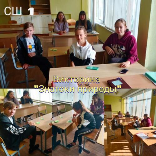 IMG-9050e4b14d5d106d290e9fef60f8110a-V