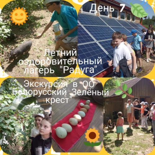 изображение_viber_2020-06-08_15-34-56